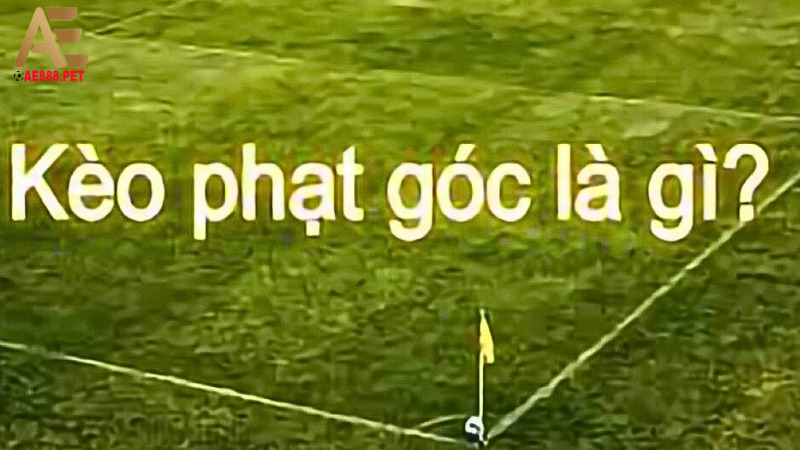 Kèo phạt góc là gì