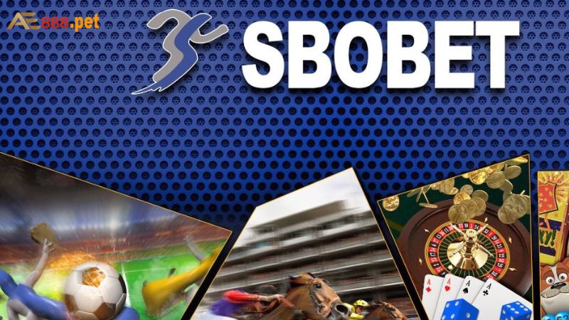 SBOBET: Cung cấp hàng nghìn sự kiện đỉnh cao mỗi ngày